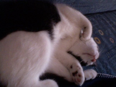 DSC00901.JPG (79.43 KiB) 20269-mal betrachtet DSC00901.JPG