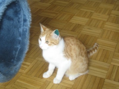 Captain Kastra 2.jpg (205.96 KiB) 13867-mal betrachtet Captain Kastra 2.jpg
