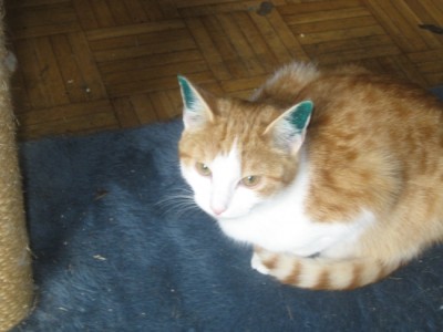 Kastra 3.jpg (227.93 KiB) 13225-mal betrachtet Kastra 3.jpg