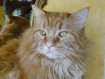 P1030344 - Kopie.JPG