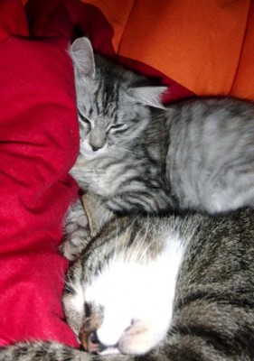 23.jpg (64.01 KiB) 4719-mal betrachtet 23.jpg