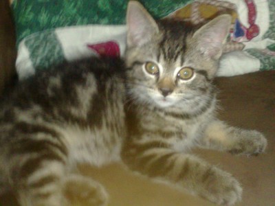 Kiddo.jpg (744.93 KiB) 4391-mal betrachtet Kiddo.jpg