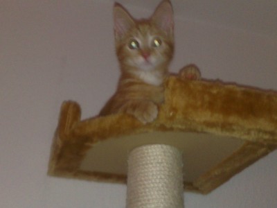 Bill aka Krümel.jpg (633.23 KiB) 4204-mal betrachtet Bill aka Krümel.jpg