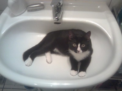 55.jpg (147.64 KiB) 17983-mal betrachtet 55.jpg