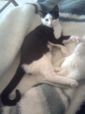 5.jpg (186.41 KiB) 17975-mal betrachtet 5.jpg