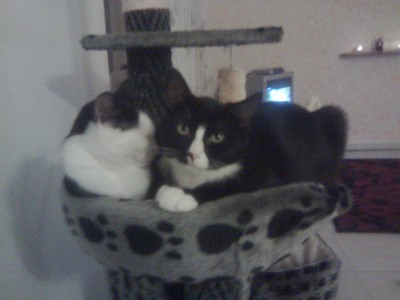 88.jpg (228.6 KiB) 17975-mal betrachtet 88.jpg