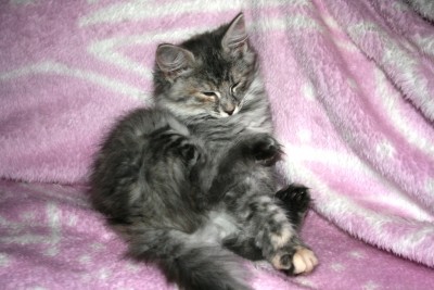 IMG_2515.JPG (344.95 KiB) 19243-mal betrachtet IMG_2515.JPG