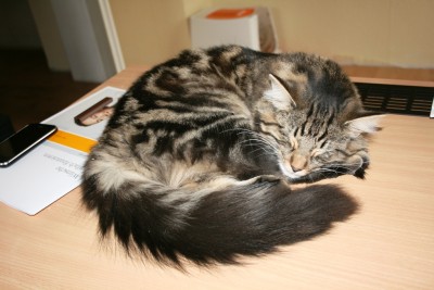 IMG_2531.JPG (307.26 KiB) 18870-mal betrachtet IMG_2531.JPG